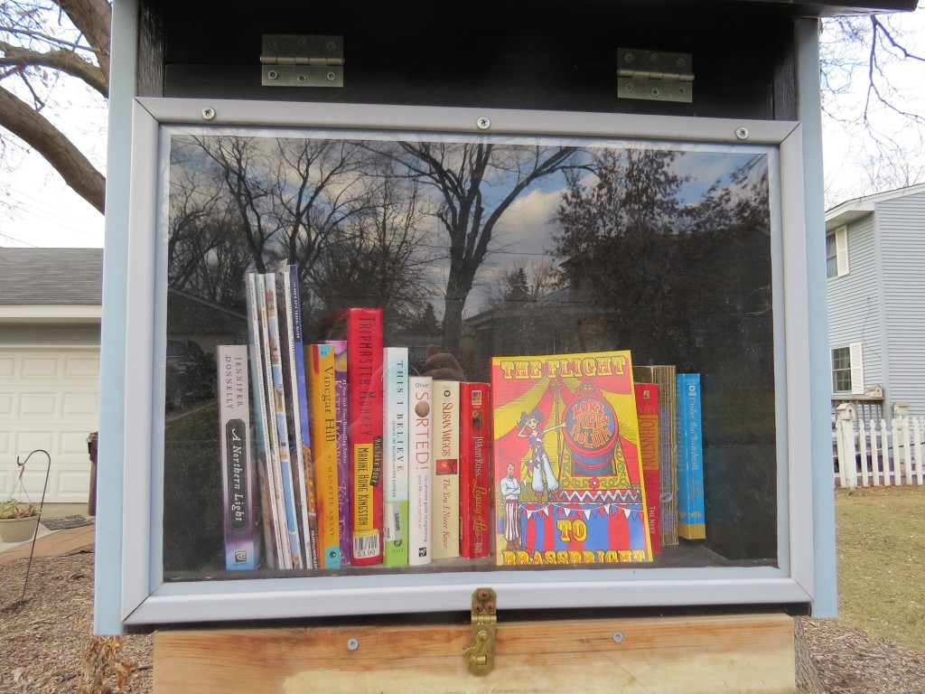 Richfield Minnesota Little Library