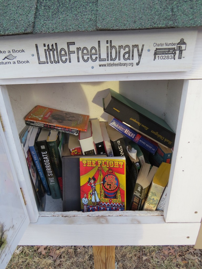 South Minneapolis Minnesota Little Library
