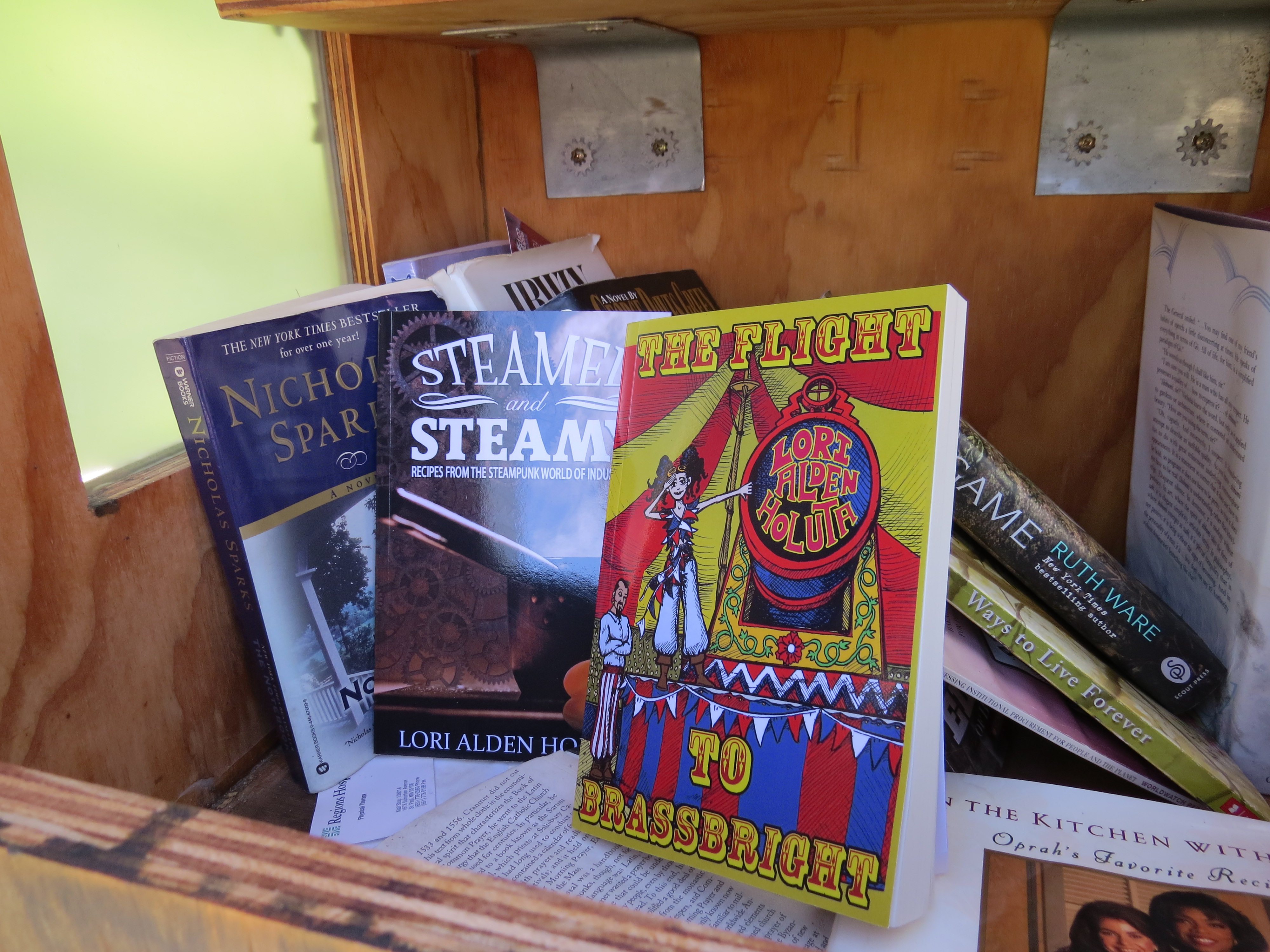 My Books in a Little Free Library - Minnesota