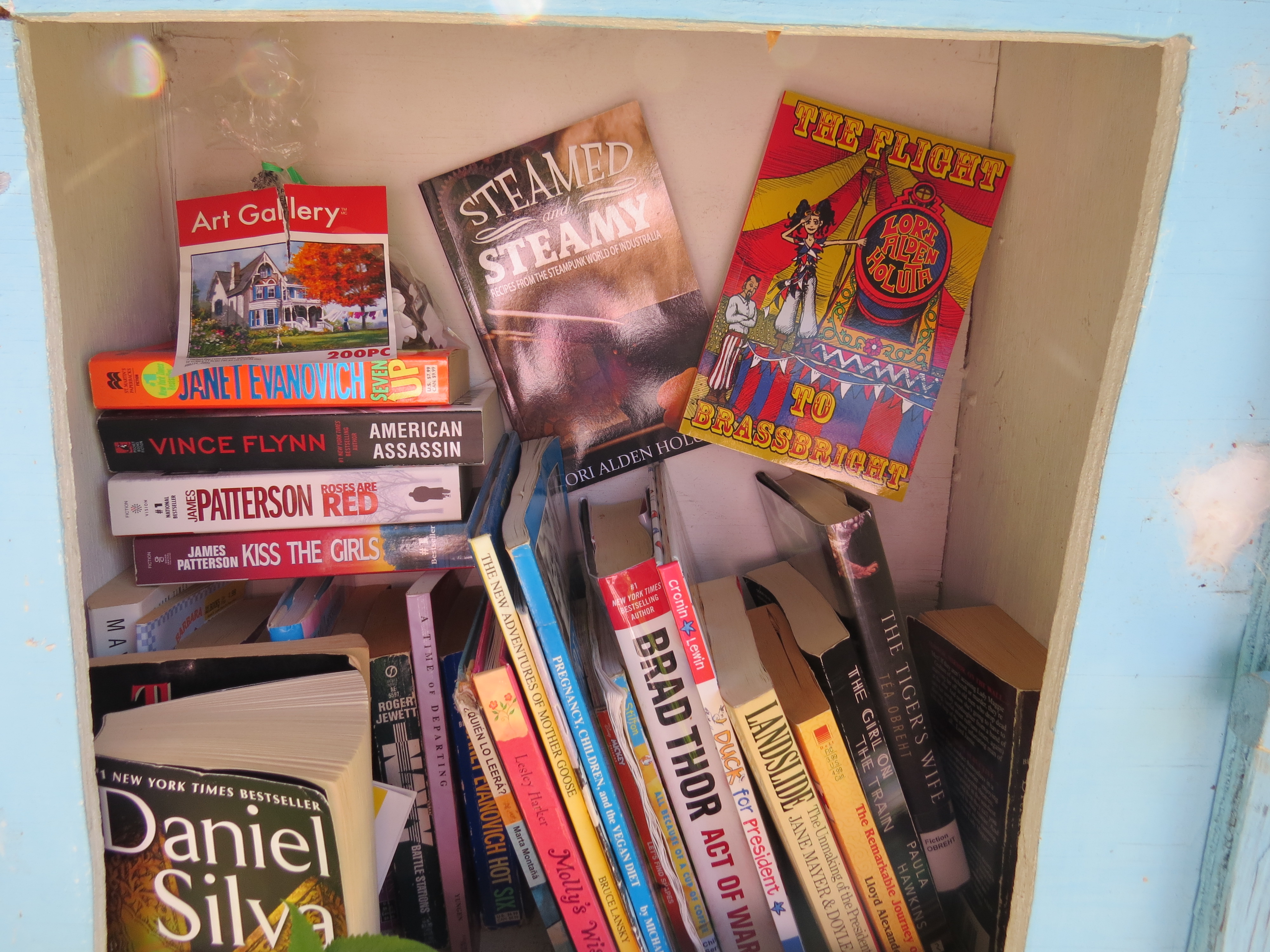 My Books in a Little Free Library - Minnesota